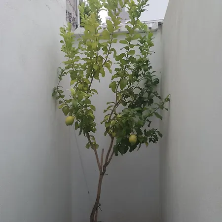 Apartmán Atalaya
